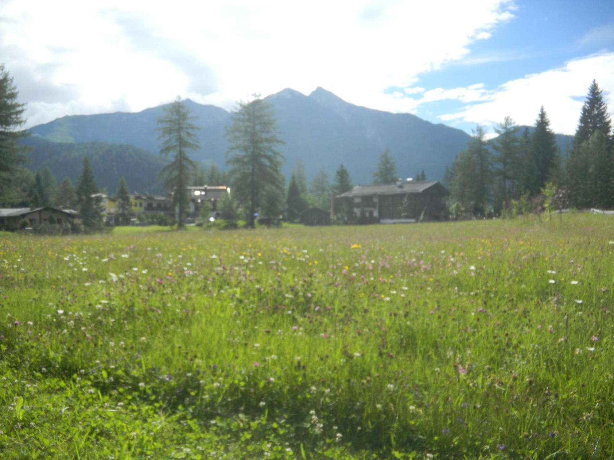Landhaus Charlotte Am Geigenbuehel -Apartments ゼーフェルト・イン・チロル エクステリア 写真