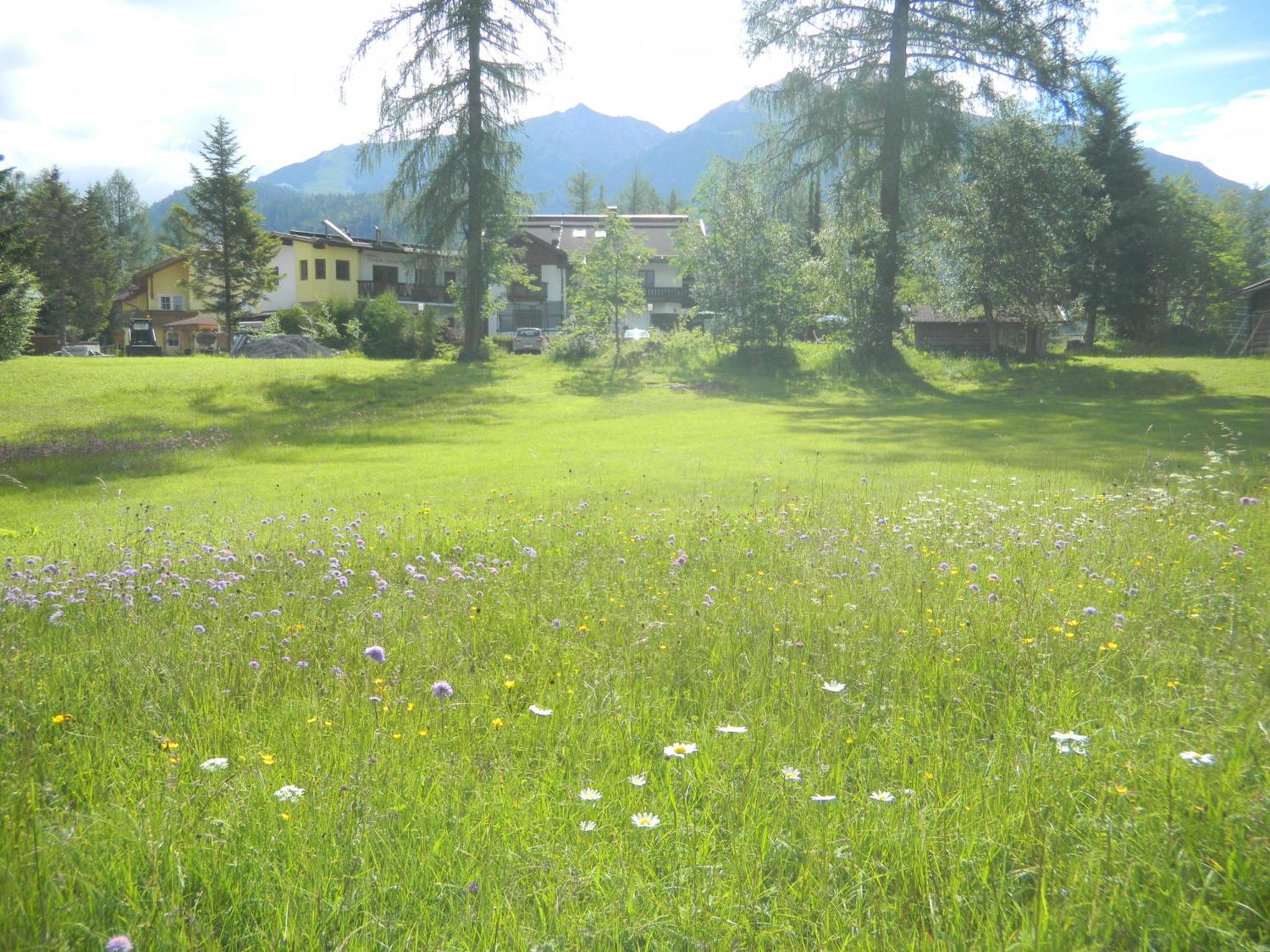 Landhaus Charlotte Am Geigenbuehel -Apartments ゼーフェルト・イン・チロル エクステリア 写真